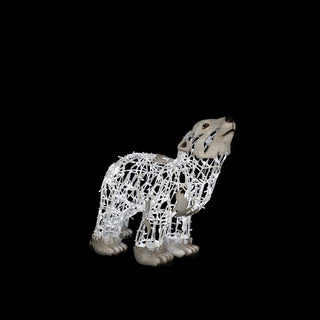 Polar Bear Baby, Walking