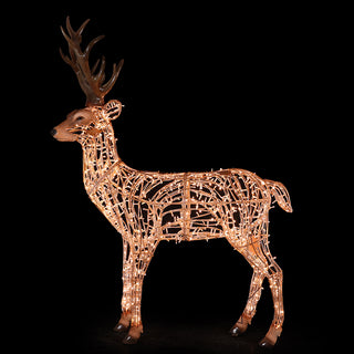 STAG GOLDEN WHITE - STANDING