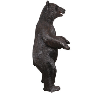 American Black Bear, Standing
