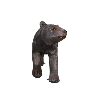 American Black Bear, Walking