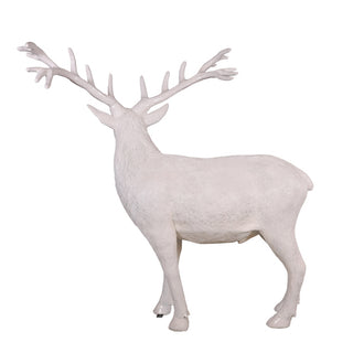 White Stag